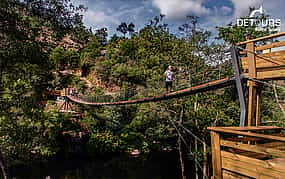 Photo 1 Paiva Walkways Nature and Adventure Tour