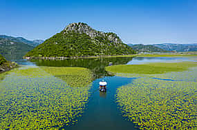 Foto 1 Observación de aves en barco Lago Skadar