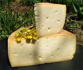 Photo 1 Private Tour to Mikaelyan Family Cheese Factory, Lake Sevan and Dilijan