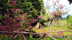 Photo 1 Queimadas, Caldeirão Verde Full-day Walking Tour