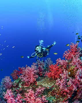 Photo 1 Try Dive Program for Beginners