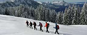 Foto 1 Excursión privada con raquetas de nieve al atardecer en Francia