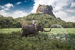 Foto 1 Private Elefanten- und Jeep-Safari zu antiken Tempeln und Kräutergärten