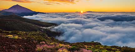 Zdjęcie 2 Tenerife 5-hour Teide Stargazing Tour