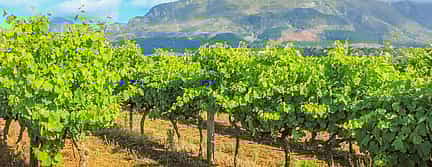 Photo 3 Daily Wine Tour