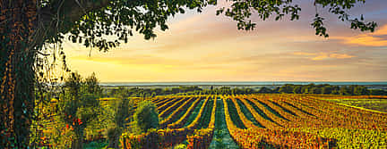 Photo 2 Bolgheri Small Group Tour with Wine Tasting from Florence