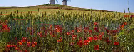 Photo 3 5-hour Toledo Private Tour