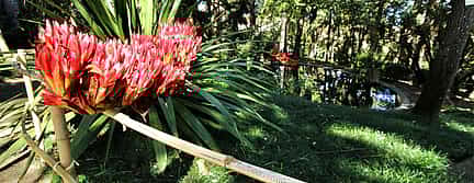 Photo 3 Principe Real and Botanico Gardens Private Tour