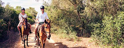 Foto 3 Reiten auf Madeira Tour für Anfänger