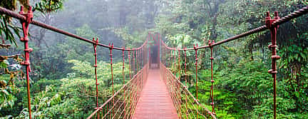 Photo 2 Tour to the Cloud Forest of Monteverde