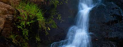 Foto 2 Rainforest Canyoning Tour