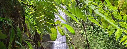 Φωτογραφία 3 Bali Hidden Gems Tour