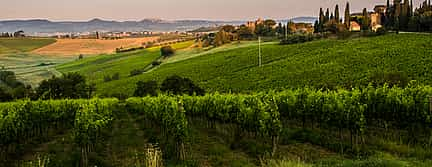 Photo 2 San Gimignano, Chianti and Montalcino from Siena