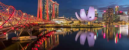 Foto 2 Nacht-Tour mit Singapur Markt und Lichtshow Private Tour