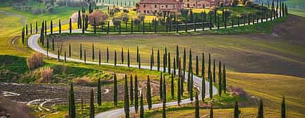Photo 3 Montalcino, Pienza en Val d'Orcia Wijnroutes