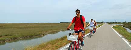 Photo 2 Birdwatching Bike Tour in the Lagoon of Venice