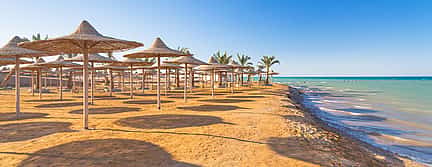 Fotografie 2 Full-day Tour to Red Sea from Cairo