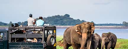 Foto 2 Excursión privada a Yala con recogida en los complejos turísticos