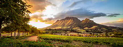 Photo 3 Full-day Private Winelands Franschhoek Tour