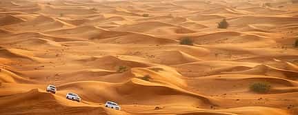 Photo 3 Desert Safari Private Tour