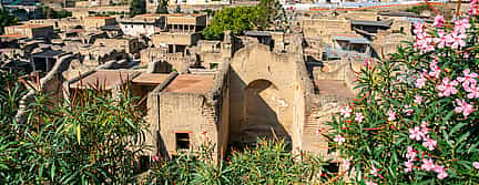 Photo 3 Pompeii and Herculaneum from Sorrento - Skip the Line