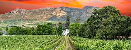 Photo 2 Daily Wine Tour