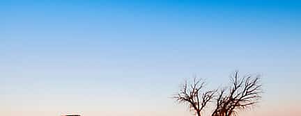 Photo 3 Evening Desert Safari with Quad Bike Ride