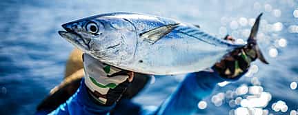 Photo 2 Sea Fishing from Tenerife South