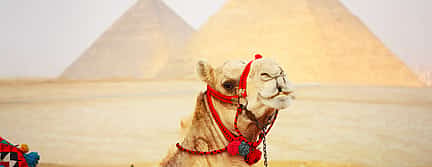 Photo 3 Half-day Giza Pyramids and Sphinx Tour