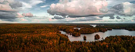 Foto 2 Helsinkis bestgehütetes Geheimnis. Magische Taigawald-Wanderung