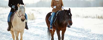 Foto 2 Excursión a caballo en grupo reducido por la nieve