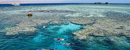 Photo 3 Snorkeling Trip to Tiran Island by Boat from Sharm El Sheikh