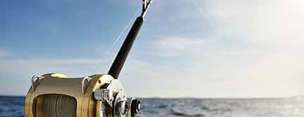 Photo 3 Sea Fishing from Tenerife South
