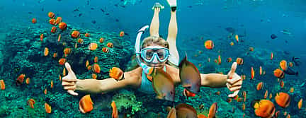 Foto 2 Excursión privada de snorkel en la isla de Bandar Khayran