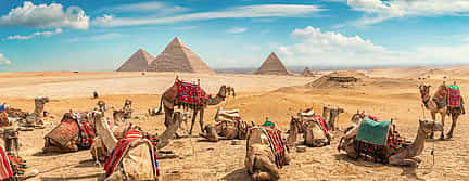 Photo 2 Full-day Giza Safari with Quad Bike and Dinner Cruise