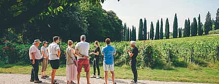 Photo 2 Milan Countryside And Wine Private Tour