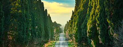 Photo 3 Bolgheri Small Group Tour with Wine Tasting from Florence