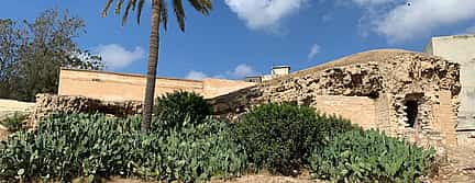 Photo 3 Alexandria Full-day Private Tour from Cairo