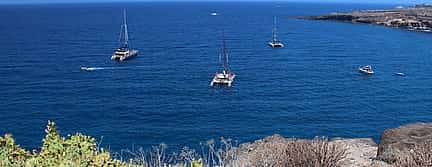 Photo 3 Whale Watching Catamaran in Costa Adeje
