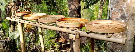 Photo 2 Mount Batur Sunrise Trekking with Breakfast