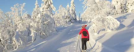 Photo 3 Ski Trekking Safari in Lapland