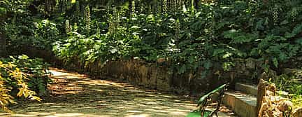 Photo 2 Principe Real and Botanico Gardens Private Tour