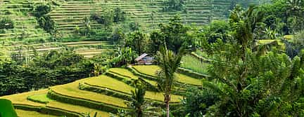 Φωτογραφία 2 Bali Hidden Gems Tour