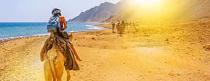 Photo 3 Dahab Snorkeling with Camel Ride and Quad Bike Ride