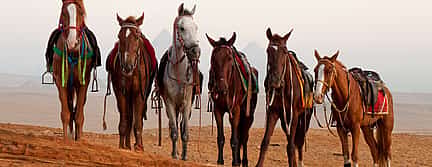 Photo 2 Horse Riding in Luxor