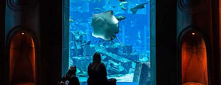 Photo 3 Atlantis Water Park & Lost Chamber with Ticket & Transfer