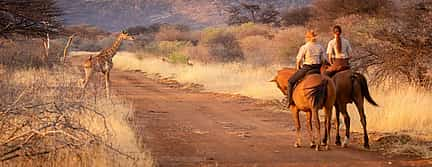 Foto 2 Para parejas: Safari privado a caballo