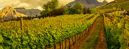 Foto 2 Ciudad del Cabo Winelands Tour Privado