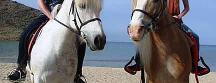 Photo 2 Horse Riding in  Hersonissos Area