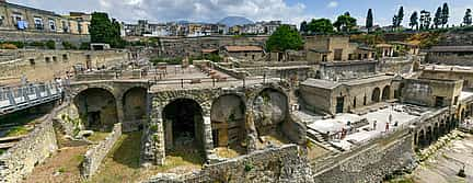 Foto 3 Pompeii, Herculaneum and Vesuvius  Private Tour